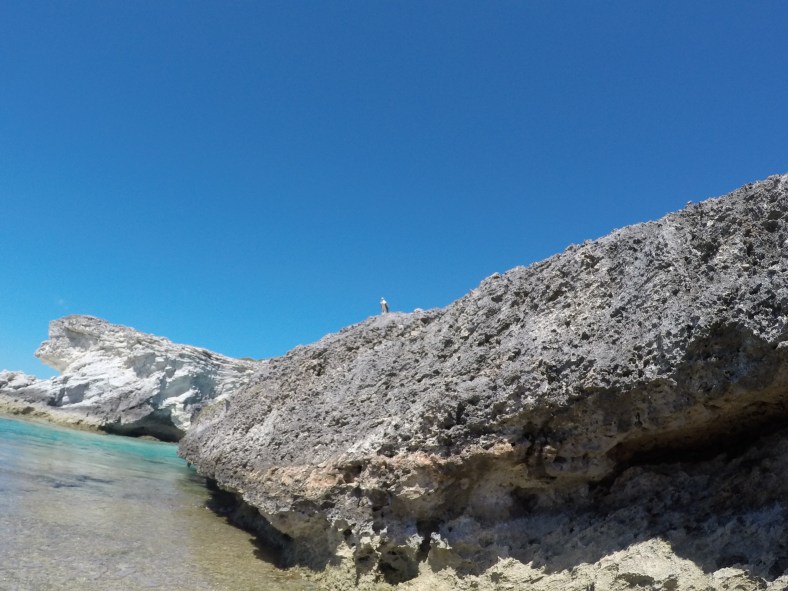 DCIM100GOPROGOPR0086.