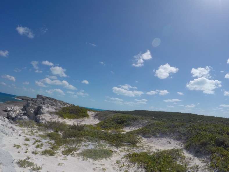 DCIM100GOPROGOPR0060.